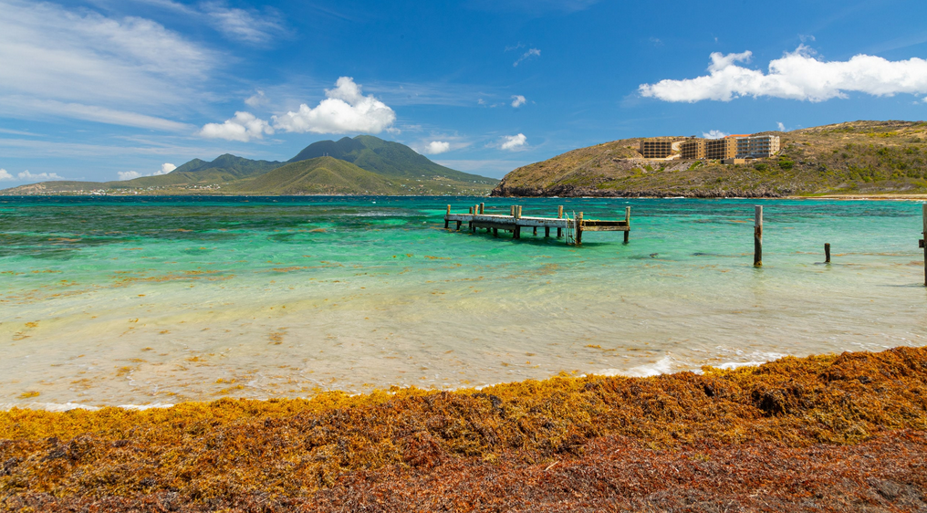 Saint Kitts &amp; Nevis